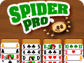 175x115 Spider Pro